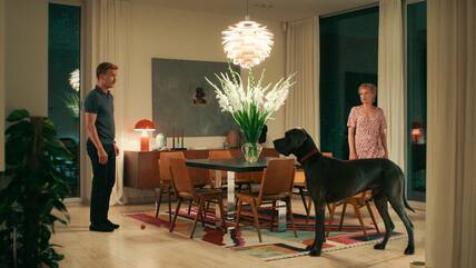 „Ich bin ich“: Albrecht Schuch als identitätsverlorener Matthias und Julia Franz Richter als seine Freundin Sophia in einer Szene des Films „Pfau - Bin ich echt?“, der am 20. Februar in den Kinos startet.