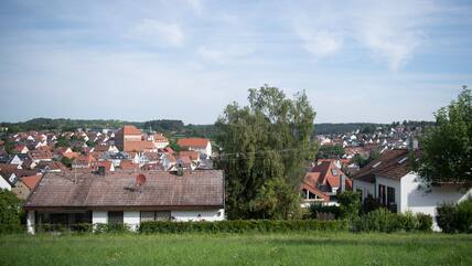 Am Bundesgerichtshof wurde nun ein Streit um drei große Birken verhandelt.